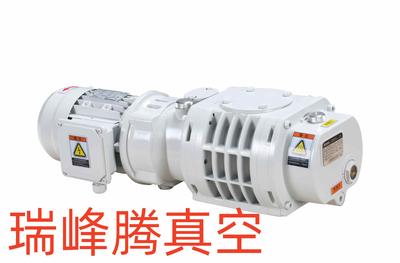 鲍斯BSJ100Z直连式罗茨真空泵